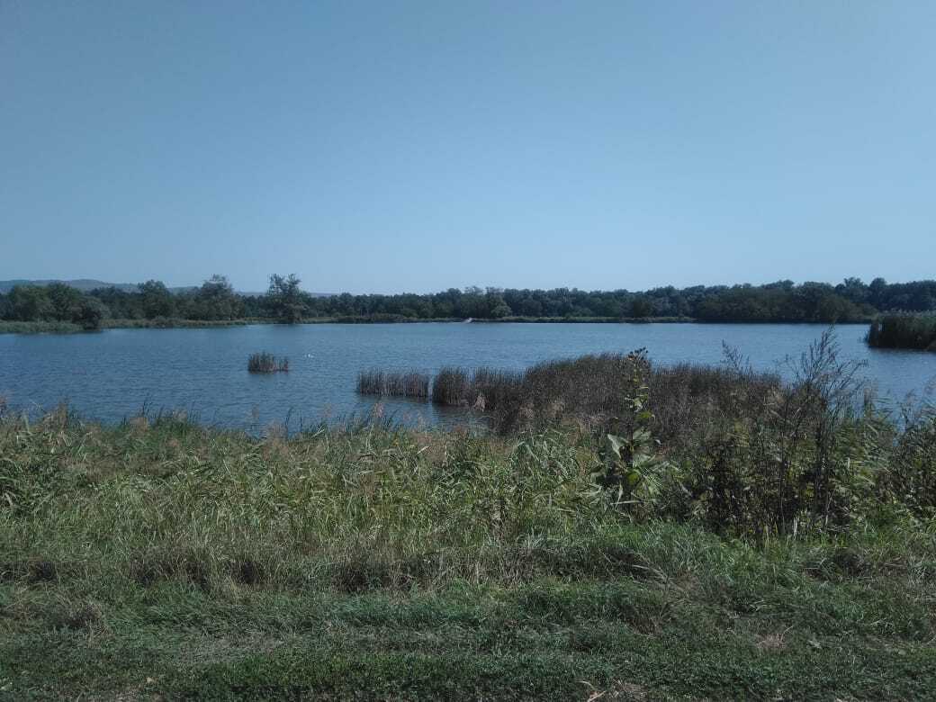 Как я провел или провела лето .