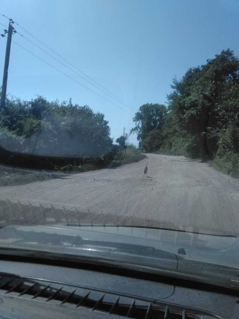 Как я провел или провела лето .