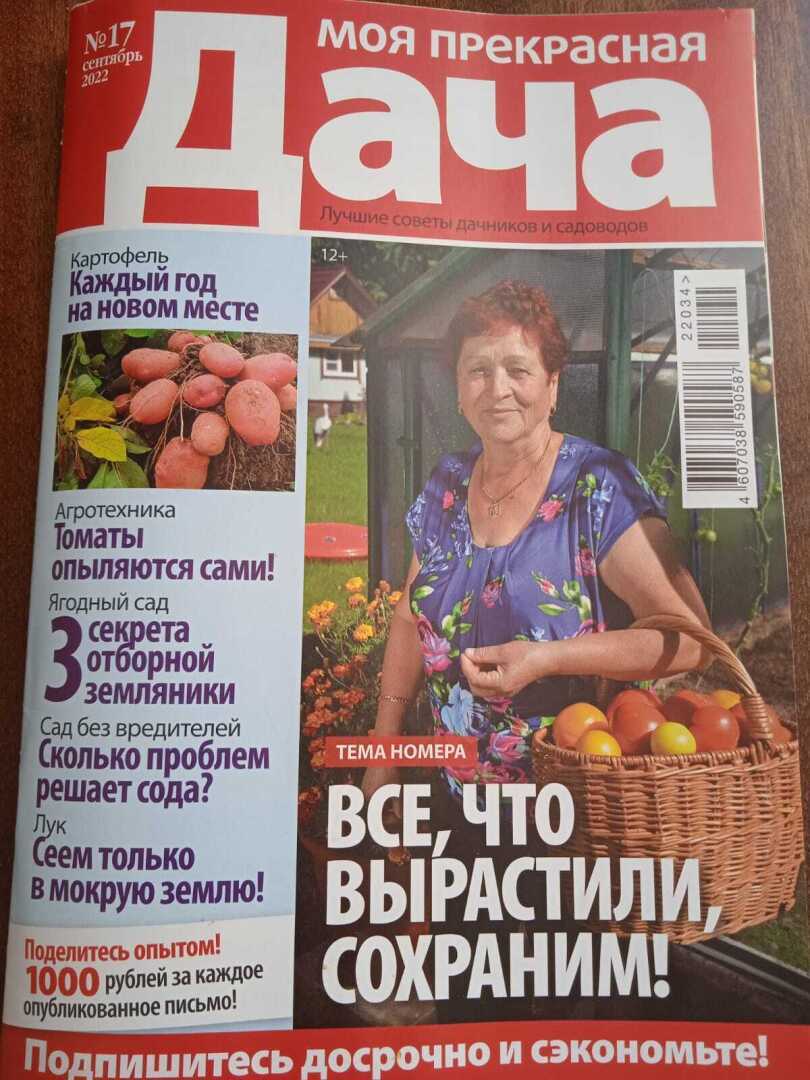 1000 рублей за публикацию: как можно получить, делюсь своим опытом, или как меня выручают мои ягодки.