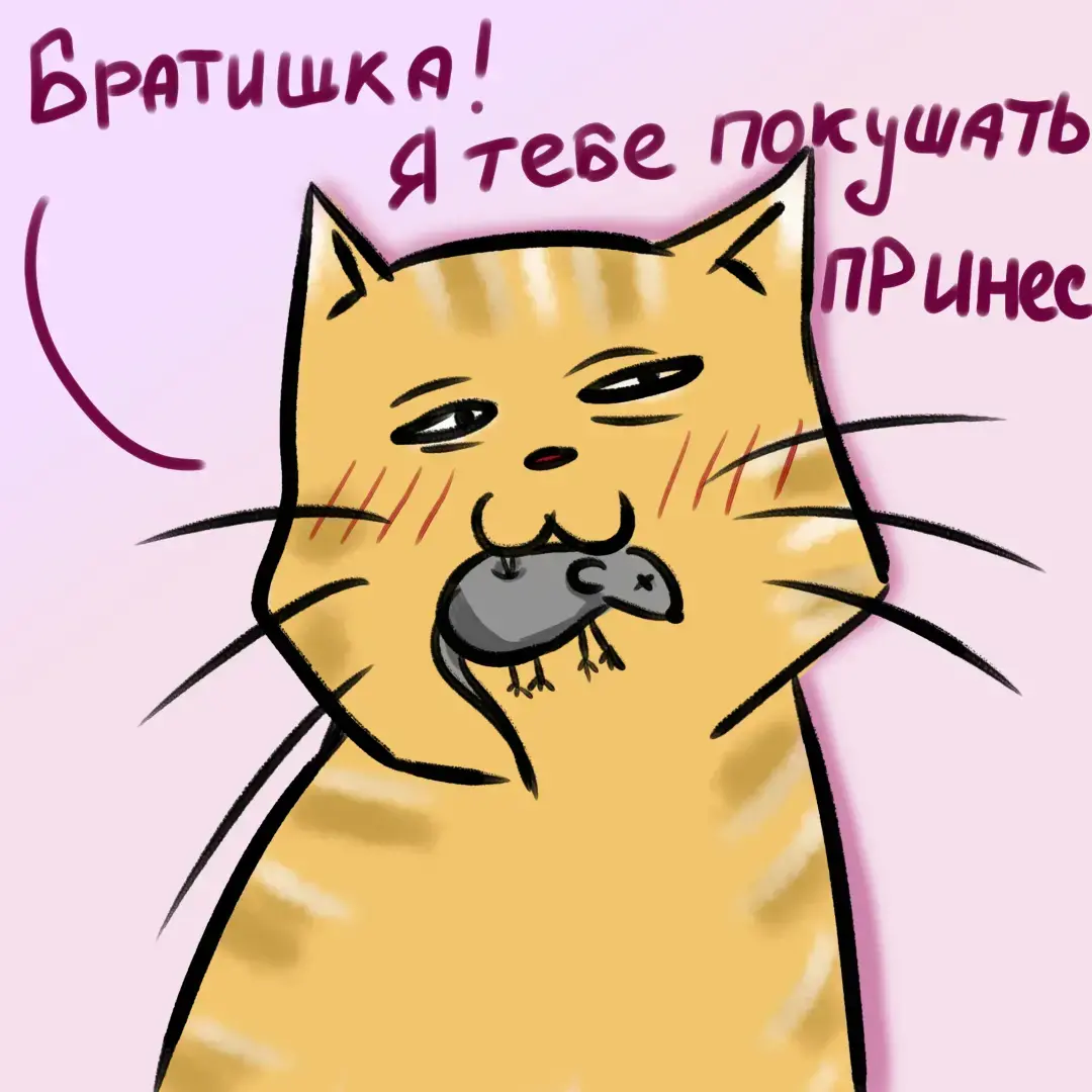 Коты, которые полностью соответствуют своим именам 😼