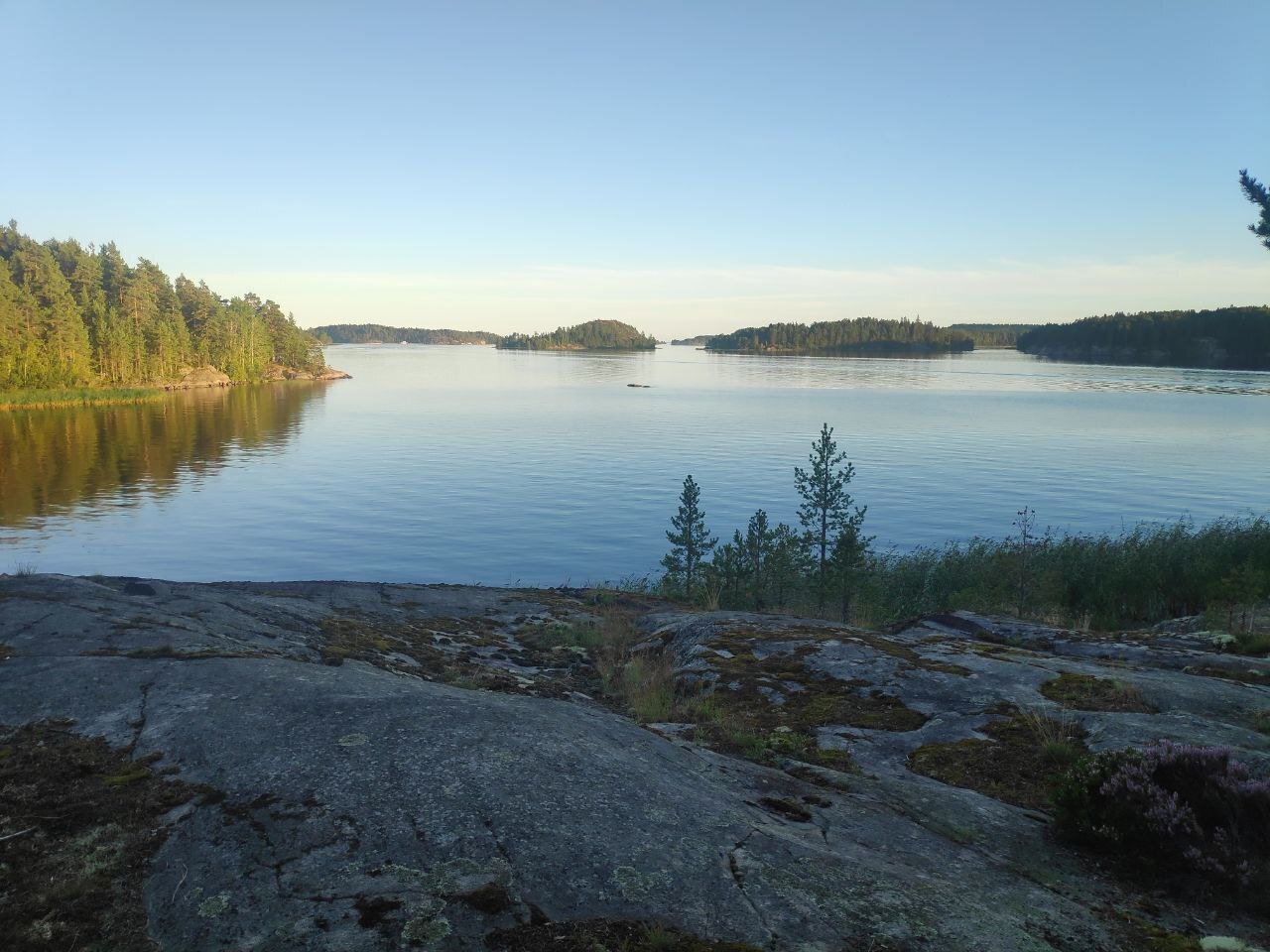 Зачем нужно сексуальное воспитание в школе