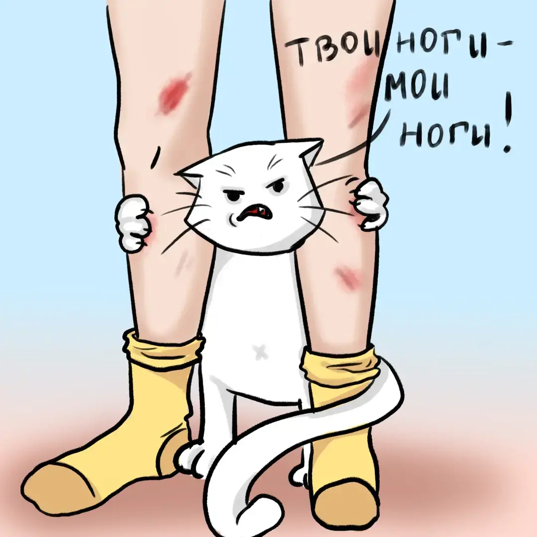 Коты, которые полностью соответствуют своим именам 😼