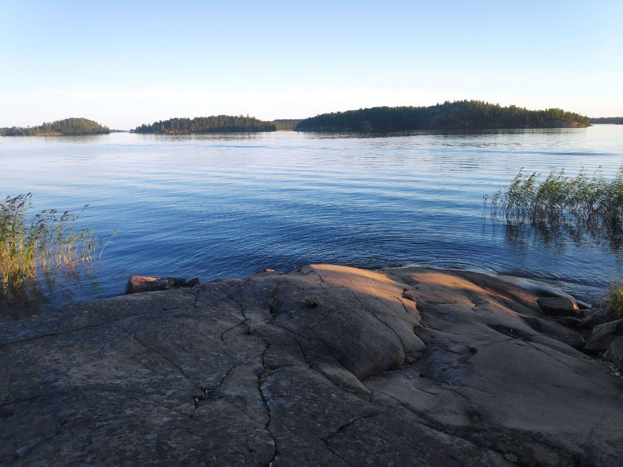 Зачем нужно сексуальное воспитание в школе