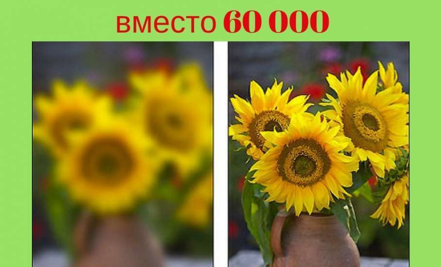 20-летний российский студент получил высшую медицинскую награду за открытие уникального способа ПОЛНОГО ВОССТАНОВЛЕНИЯ ЗРЕНИЯ без операции!