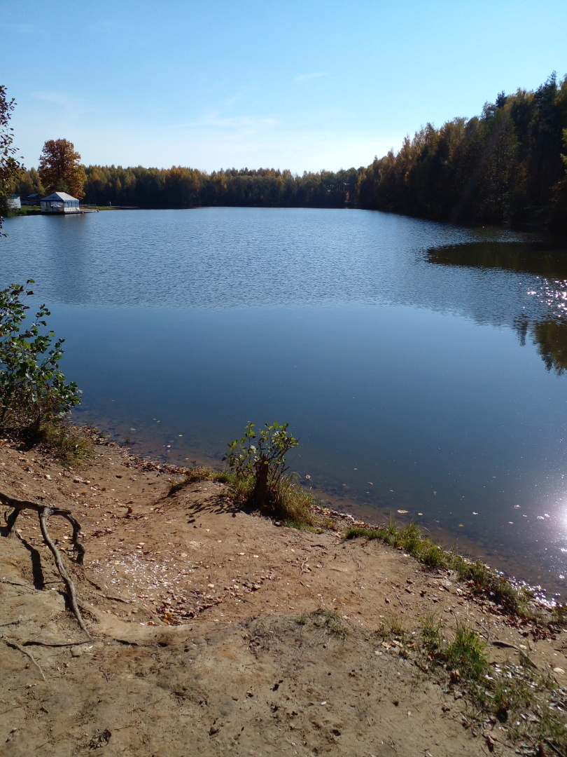 погода смирново