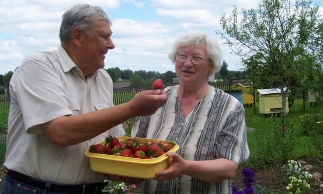 История успеха благодаря ягоде от Зинаиды Петровны