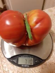 Верховный Суд РФ в очередной раз напомнил, что одного факта окончания срока трудового договора недостаточно, чтобы его прекратить