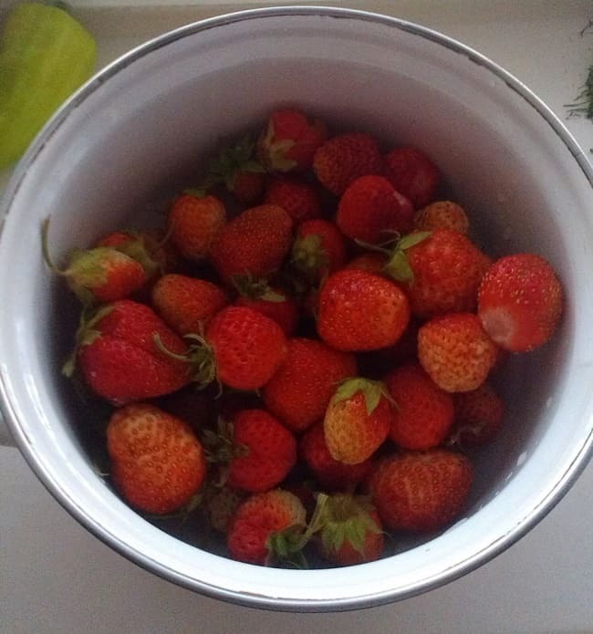 История успеха благодаря ягоде от Зинаиды Петровны