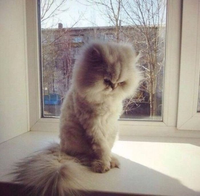 Как быть, если чувство вины мешает нормально жить