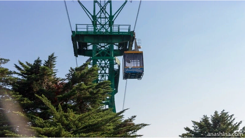 Необычные факты про... Сочи!