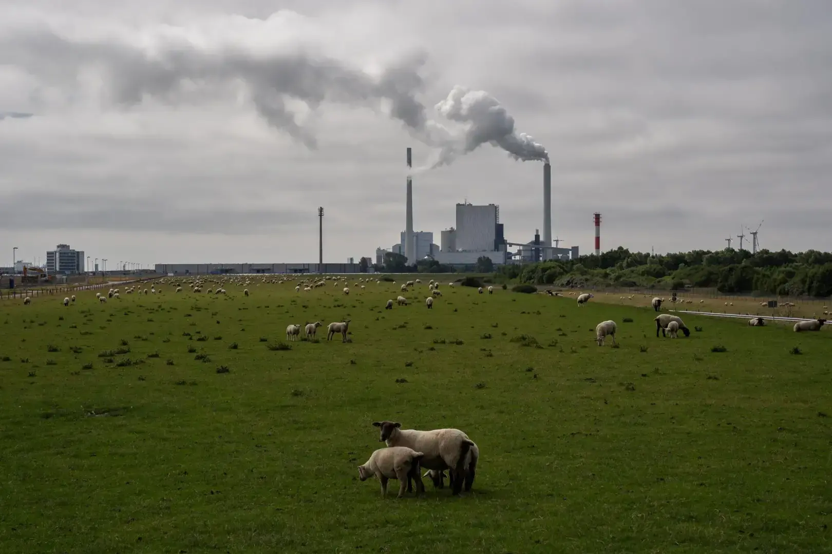 Как немецкие компании игнорируют угрозу Путина перекрыть газ.