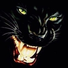 Кудлай Виктор Александрович, г. Большая Мартыновка