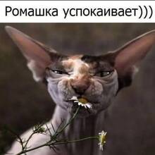 Олег, г. Южно-Сахалинск