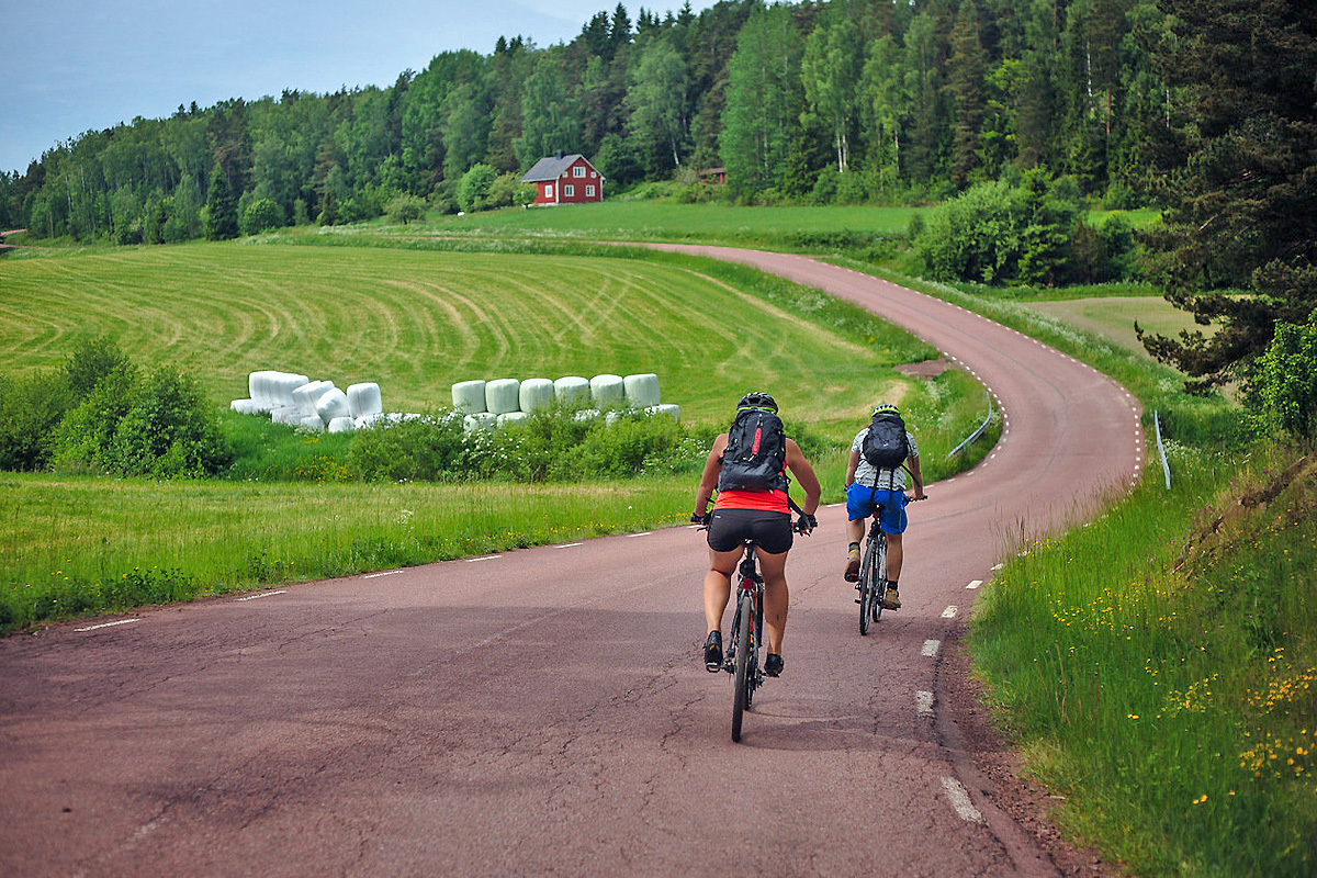 Зачем строят велодорожку между Москвой и Санкт-Петербурга?