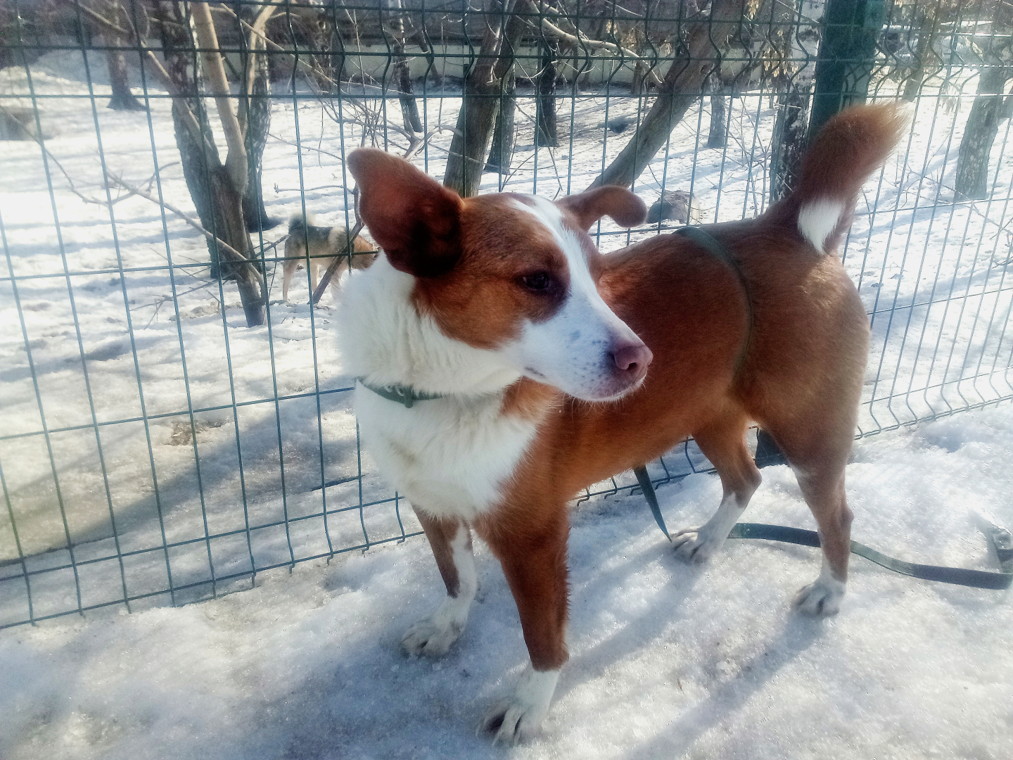 В ОЖИДАНИИ РАЯ