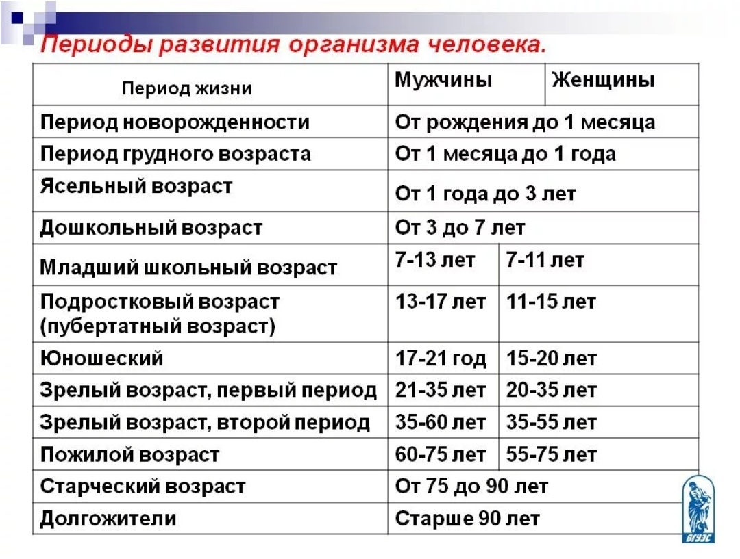 Жизненные сроки. Возрастные периоды развития организма. Этапы развития человека Возраст. Основные возрастные периоды жизни человека. Возрастные периоды жизнедеятельности человека.