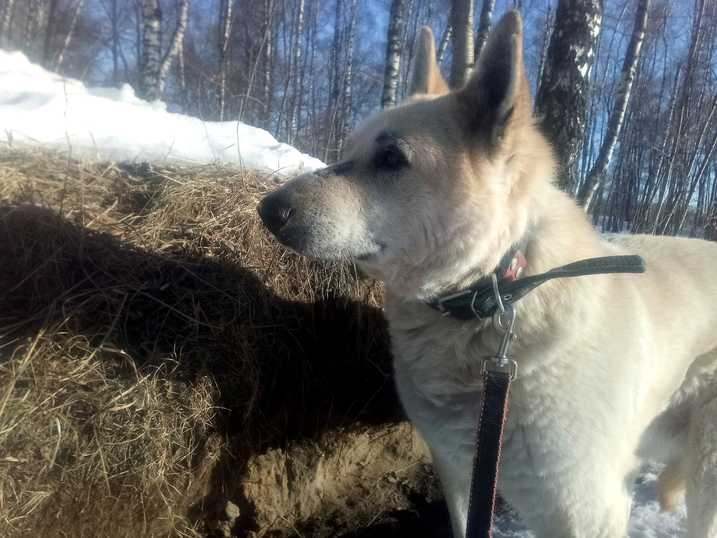 В ОЖИДАНИИ РАЯ