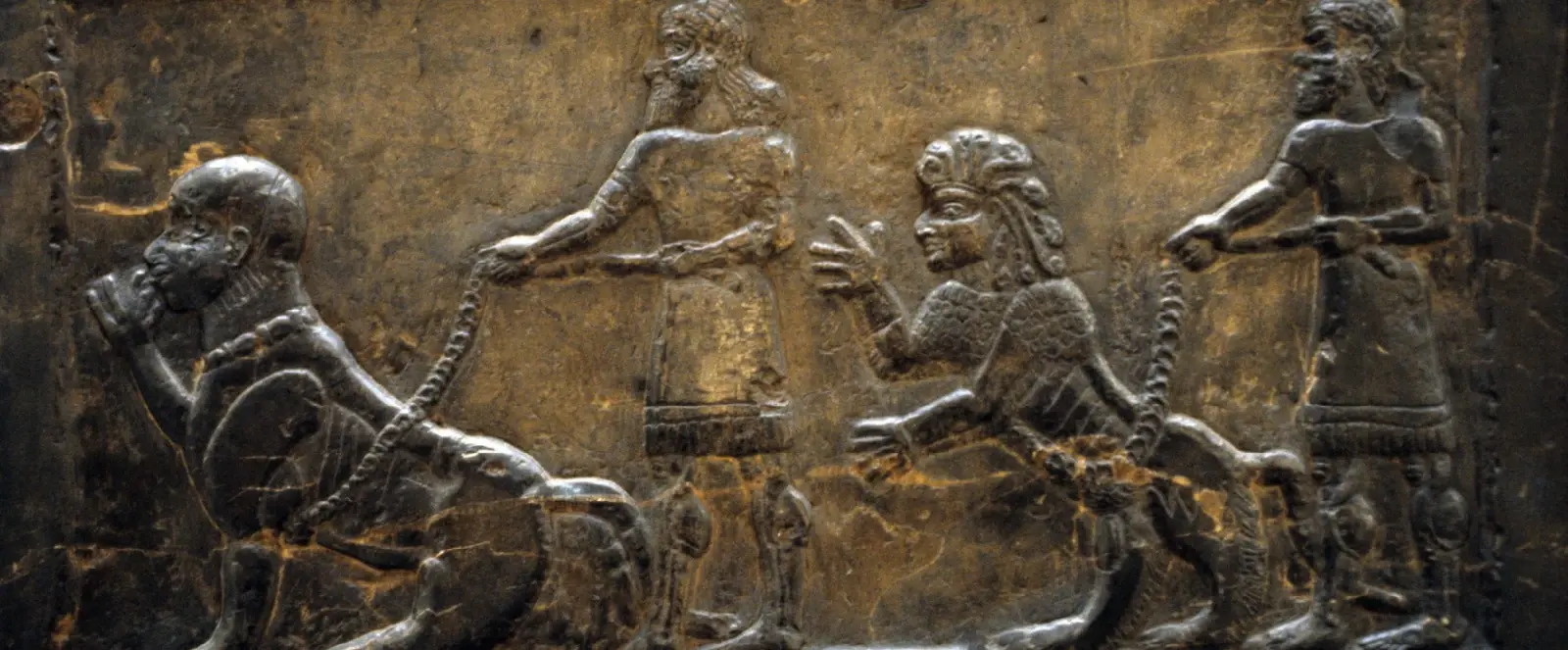 Гибриды в Серафиме под Саккарой в Египте?