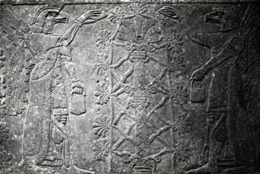 Гибриды в Серафиме под Саккарой в Египте?