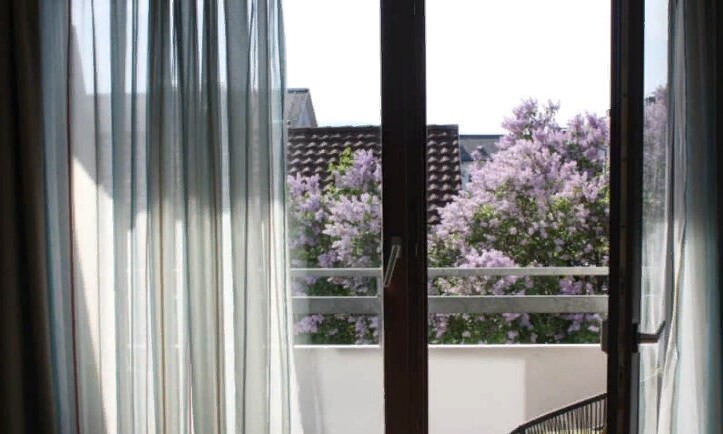 Альтернативы освежителям воздуха: сделайте ваш дом прекрасным без освежителей воздуха