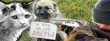 Ужесточение наказания за жестокое обращение к животным - как Вы считаете это необходимость или имеющейся ответственности достаточно?