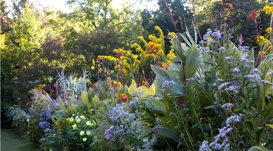 Почему ‘сентябрь - это новый май", когда дело доходит до посадки цветов