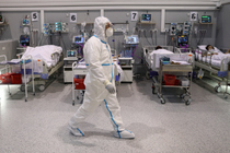 Учёные из Израиля не подтвердили происхождение коронавируса от летучих мышей