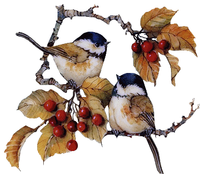 Несколько историй из жизни, или Как дедушка отучил внука материться