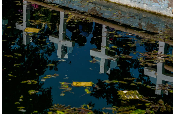 Что общего у массовых стрелков часто бывает