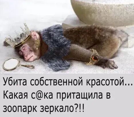 Может ли внешний вид стать фактором для успешной личной жизни?