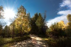 Признаки бабьего лета: в моём посёлке Водопьяновке 64 к обеду проявились признаки бабьего лета