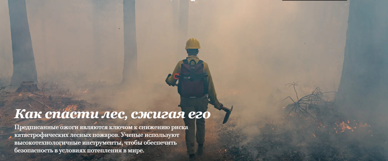Как спасти лес, сжигая его