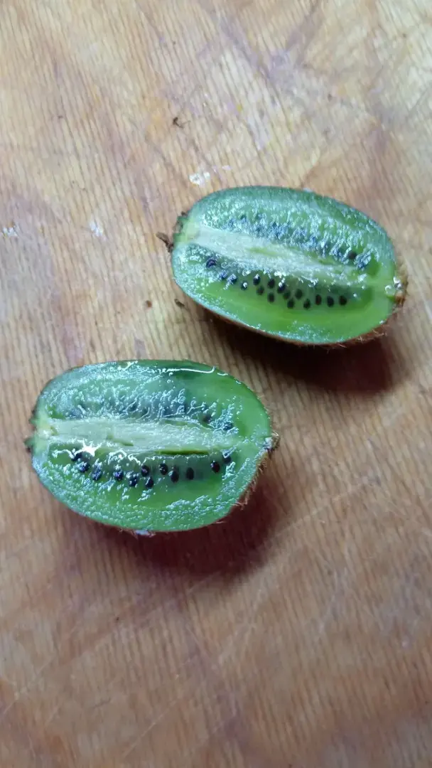 Лайхфак, как ускорить созревание киви, бананов, хурмы, помидоров и других фруктов и овощей