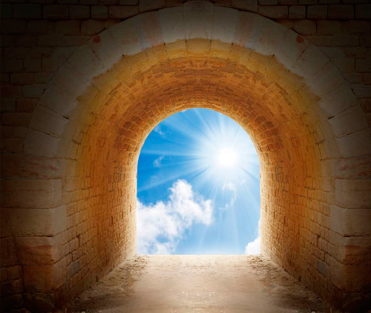 Жизнь и смерть.