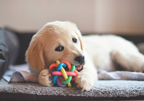 В память о Лорде.