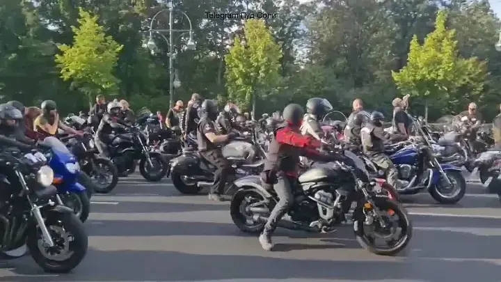 Друзья Путина в ФРГ «Putinversteher».