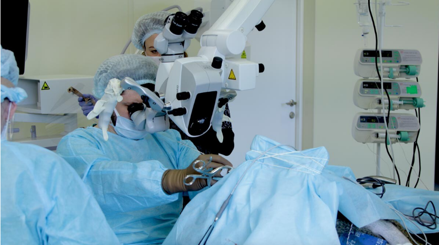 Российские ученые успешно установили зрительный имплантат обезьяне (ФОТО)