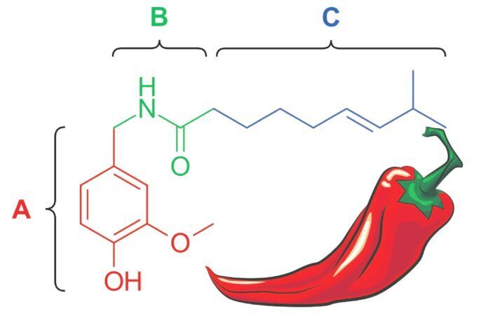Острый перец почему его бесполезно запивать водой? Жгучесть перца.