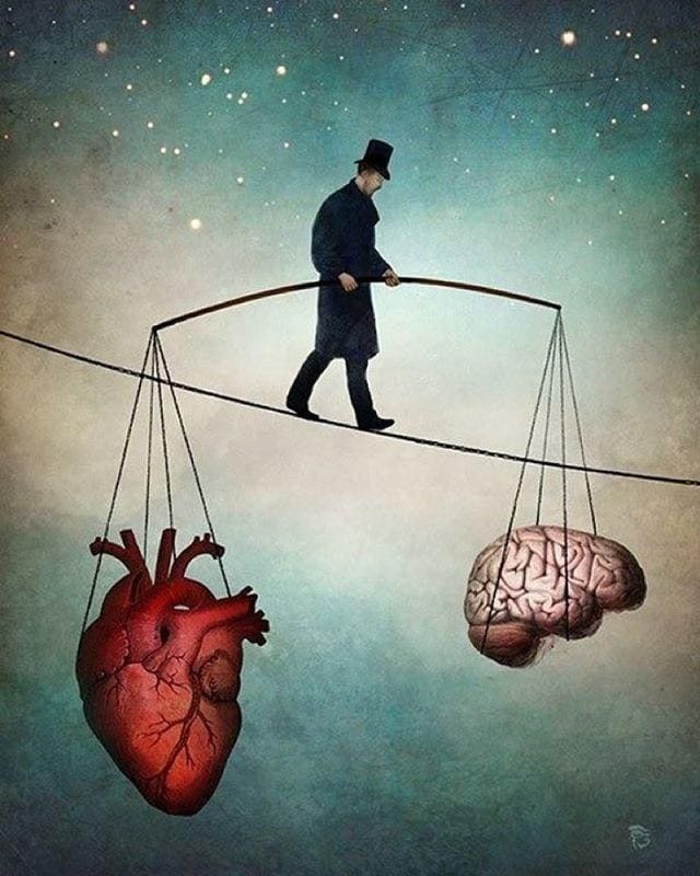 Смысл жизни: а есть ли смысл?