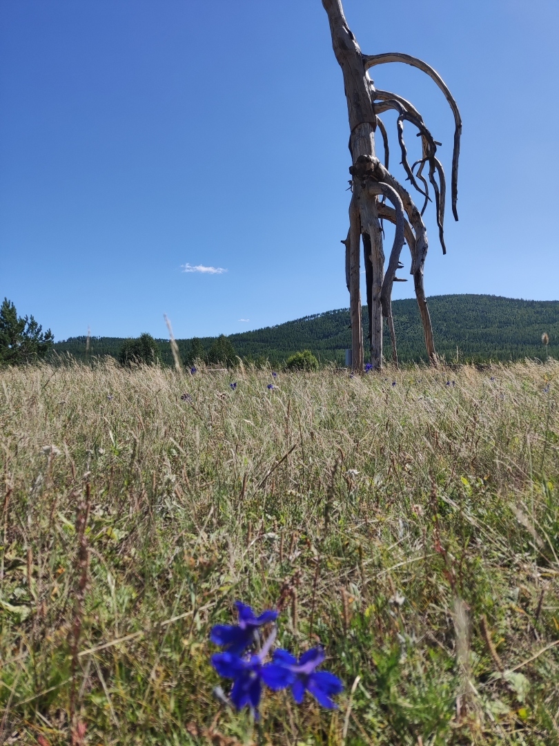 Неизведанные места России. Путешествие по Забайкалью. Ленд-арт парк «ТУЖИ»