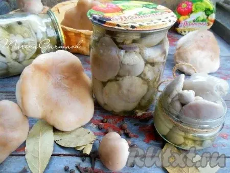 Что вы знаете о Рядовке лиловоногой или грибе синеножка?