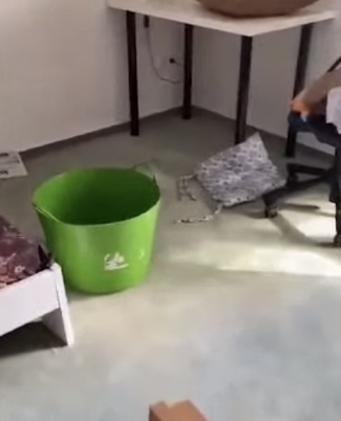 «Сдам квартиру, жителям Украины не беспокоить!» или как беженцы гадят съемные квартиры.