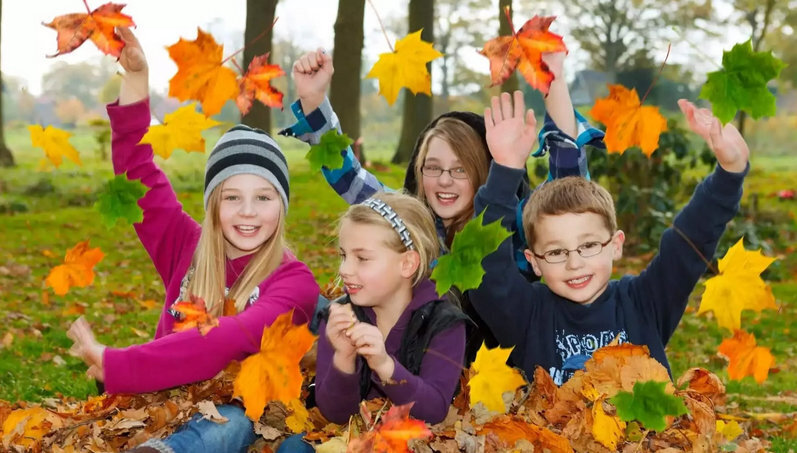 Осенние каникулы 2022: даты школьных каникул 2022 в регионах России. Когда начнутся каникулы? Расписание осенних каникул по четвертям и триместрам