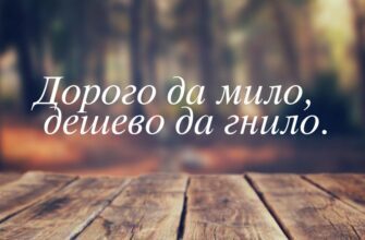 Дорого – мило, дешево – гнило. А бесплатно – это тогда как?