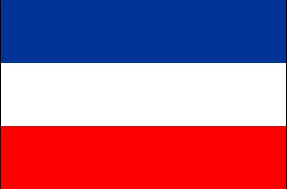 Почему флаги славянских стран похожи