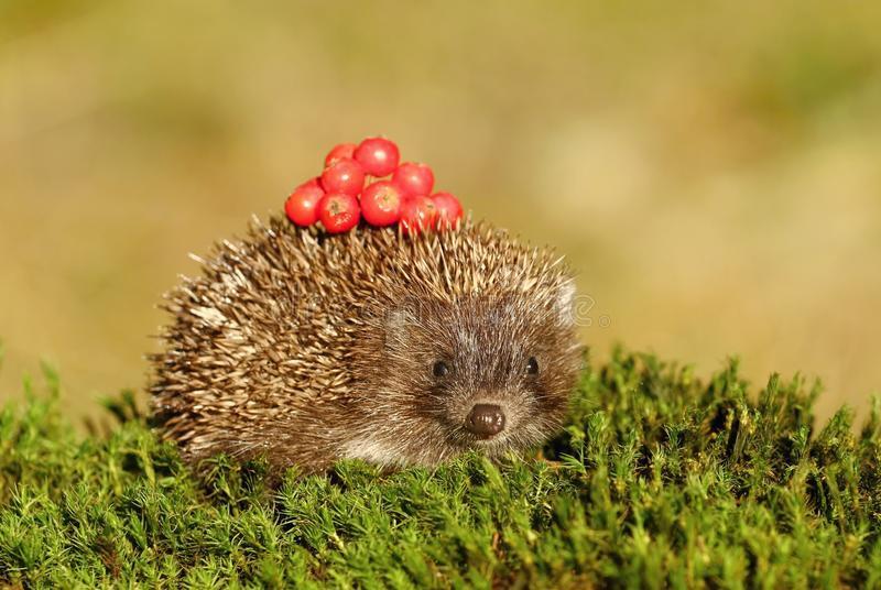 Сотвори солнце в себе.