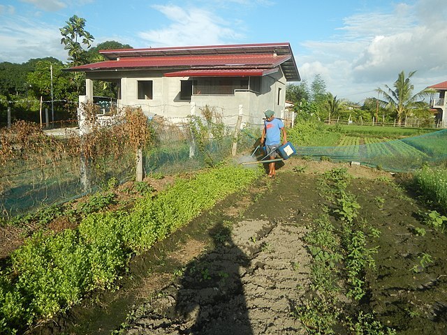 Привет, сосед! Тем, у кого частный дом или земельный участок и... земельный конфликт