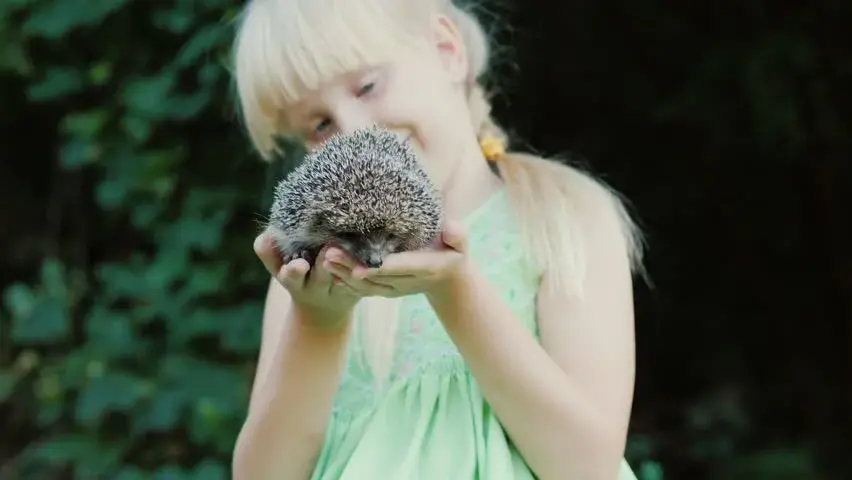 Сотвори солнце в себе.