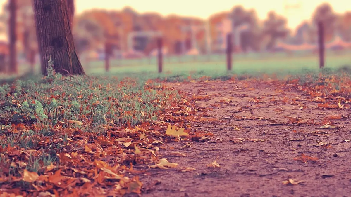 Как не согрешить с 19 по 25 сентября 2022 года: что можно и нельзя делать в течение семи дней, согласно церковным датам