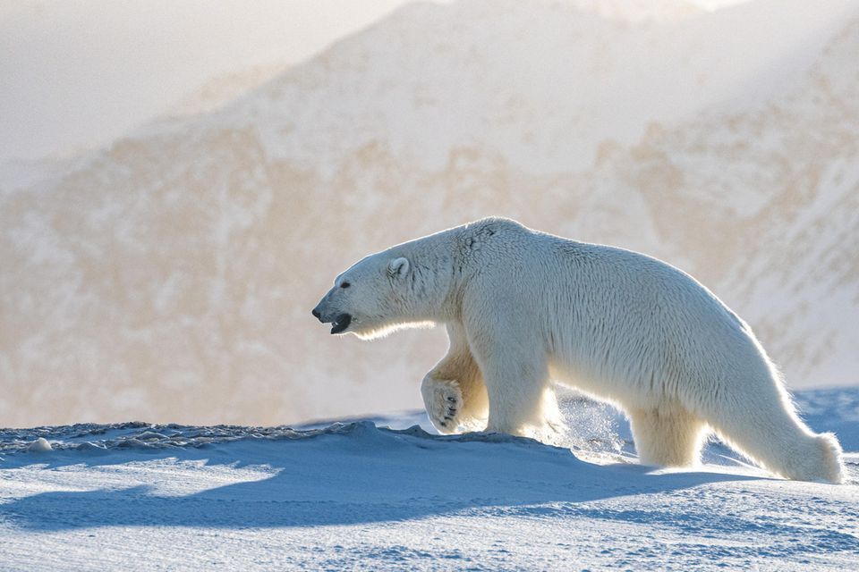 Завораживающая красота нашей планеты!